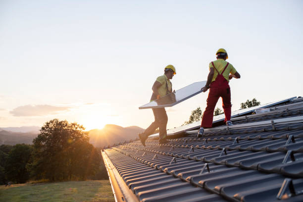 Best Skylight Installation and Repair  in Geneva, IL
