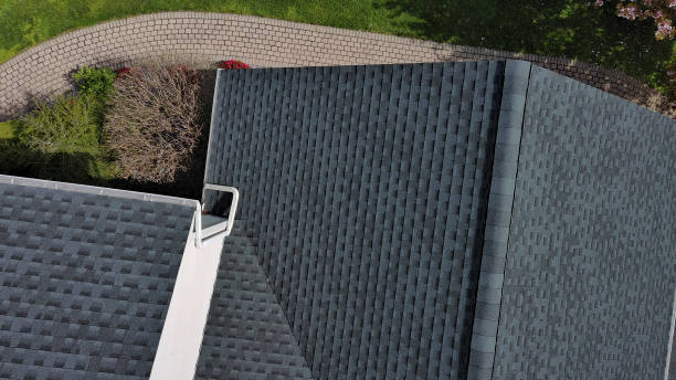 Best Roof Moss and Algae Removal  in Geneva, IL